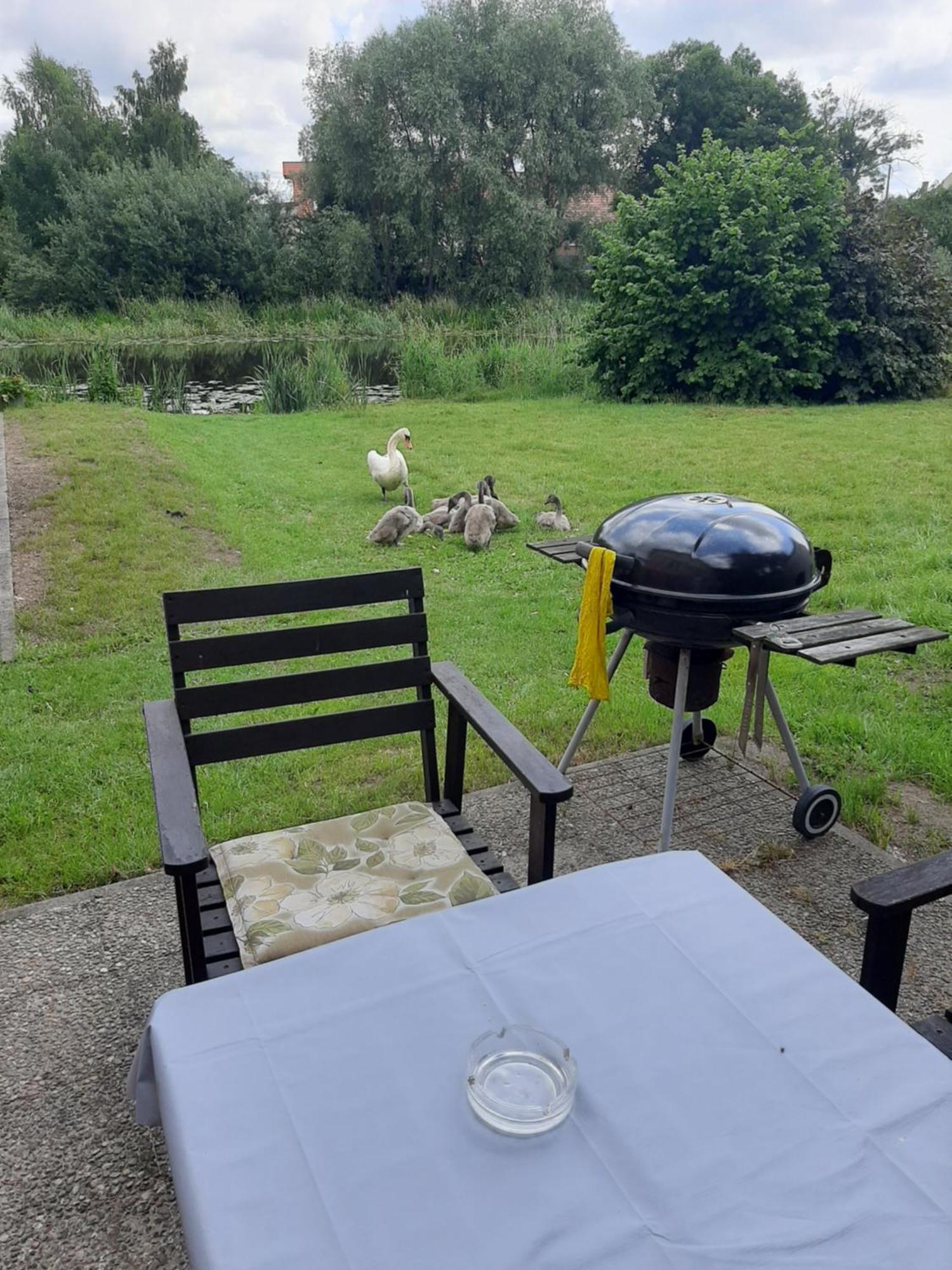 Apartament Nad Woda Marzecino Eksteriør bilde